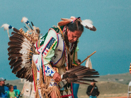 A Brief History of Native American Languages in the US