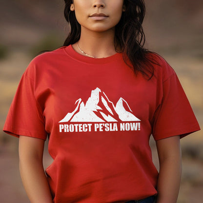 Protect Pe’ Sla Now Sacred Land Unisex T-shirt/T-shirt V-neck/Hoodie/Sweatshirt