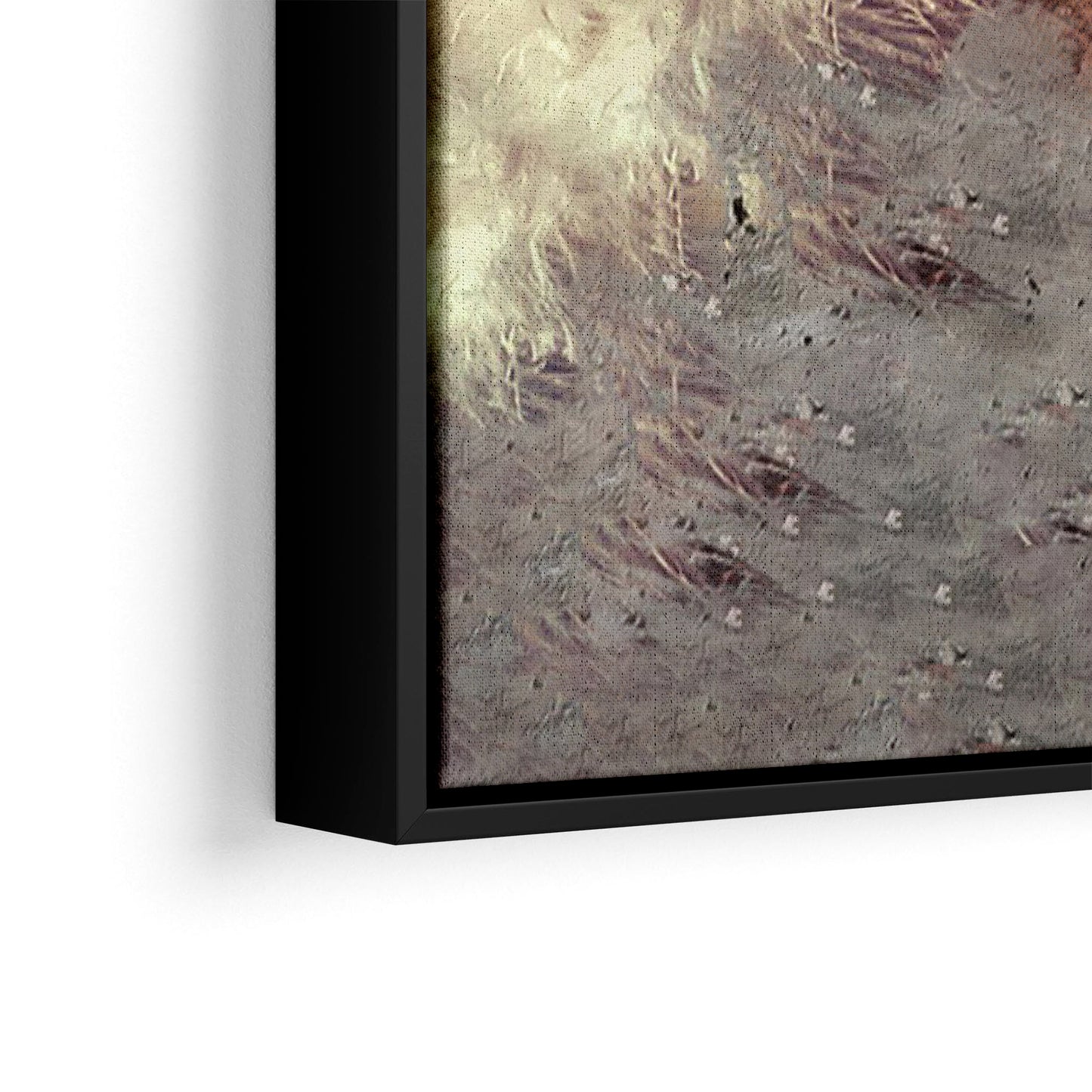 The Beautiful Native Headdress Poster/Canvas